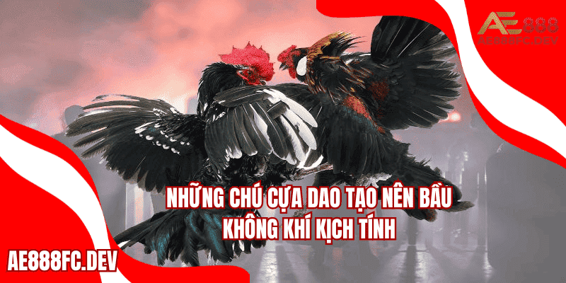 Những chú cựa dao tạo nên bầu không khí kịch tính