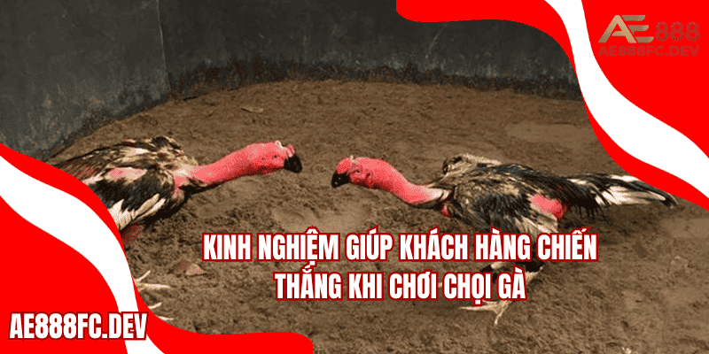 Kinh nghiệm giúp khách hàng chiến thắng khi chơi chọi gà