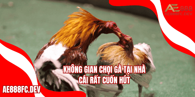Không gian chọi gà tại nhà cái rất cuốn hút