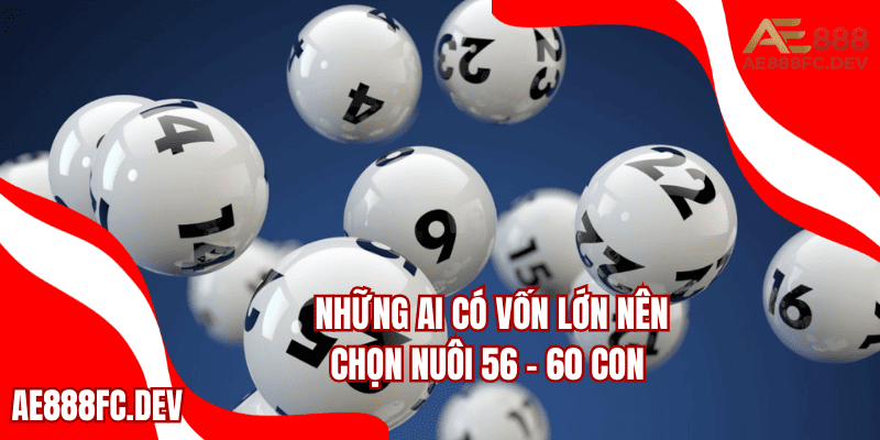 Những ai có vốn lớn nên chọn nuôi 56 - 60 con để tăng tỷ lệ trúng thưởng