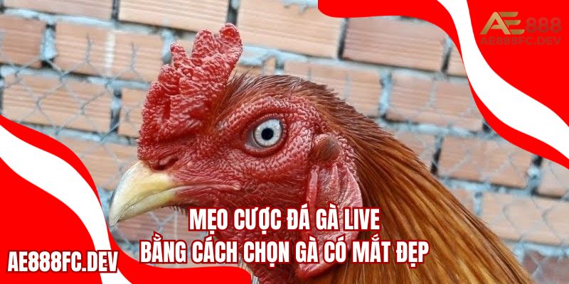 Mắt càng trong, càng hung dữ thì thiên phú càng cao